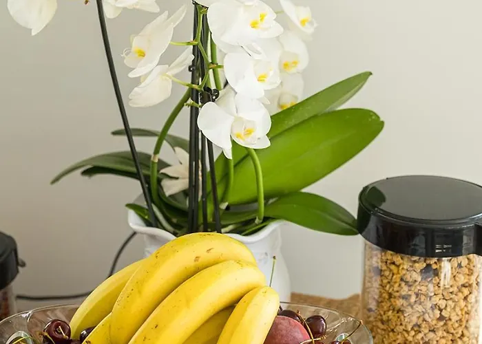 Füred Centrum Panzió Panzió